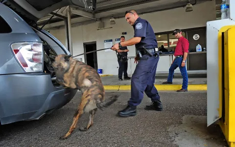 Mitnitsya-ta-Prikordonna-sluzhba-480x300